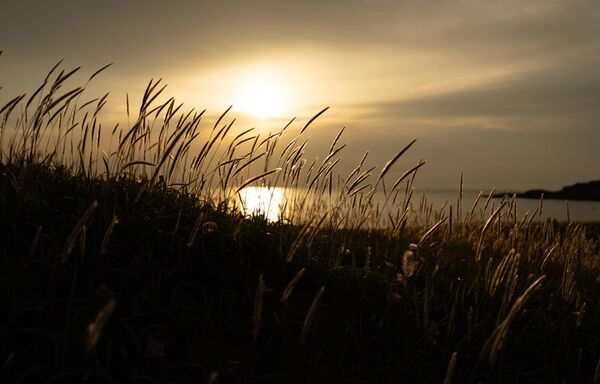 Tamron 16-30mm f/2,8 Di III VXD G2  Nikon Z-Mount