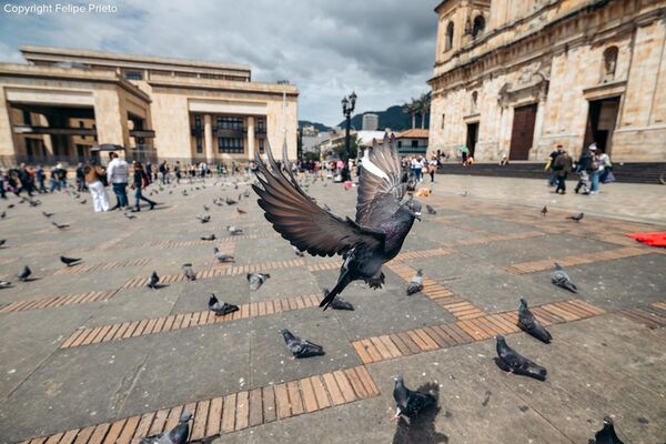 Tamron 16-30mm f/2,8 Di III VXD G2  Nikon Z-Mount