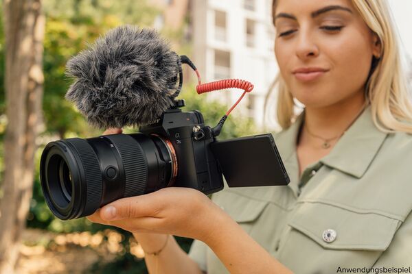 Tamron 17-50mm f/4 Di III VXD   Sony FE-Mount