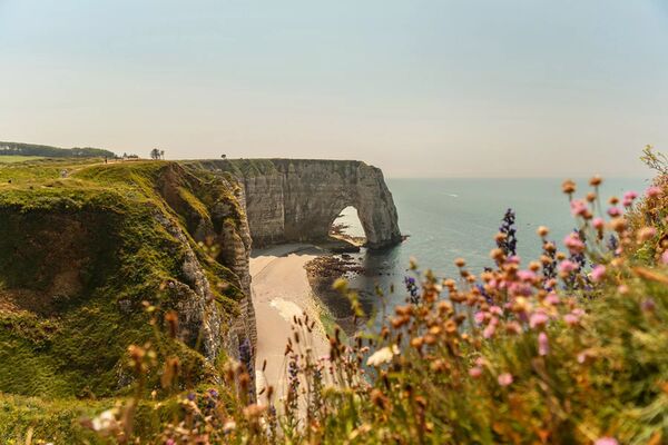 Tamron 17-50mm f/4 Di III VXD   Sony FE-Mount