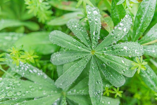 Tamron 20mm f/2.8 Di III OSD M1:2  Sony FE-Mount