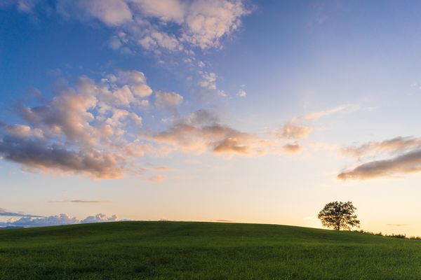 Tamron 20mm f/2.8 Di III OSD M1:2  Sony FE-Mount