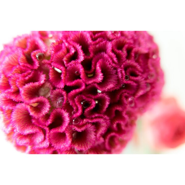 Tamron 25-200mm f/2,8-5,6 Di III VXD G2  Sony  FE-Mount