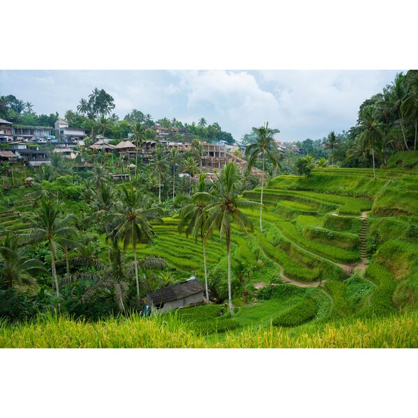 Tamron 25-200mm f/2,8-5,6 Di III VXD G2  Sony  FE-Mount