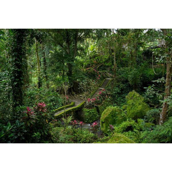 Tamron 25-200mm f/2,8-5,6 Di III VXD G2  Sony  FE-Mount