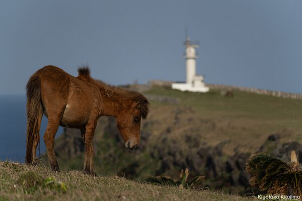 Tamron 28-300mm f/4-7,1 Di III VC VXD  Sony FE-Mount