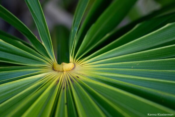 Tamron 28-300mm f/4-7,1 Di III VC VXD  Sony FE-Mount