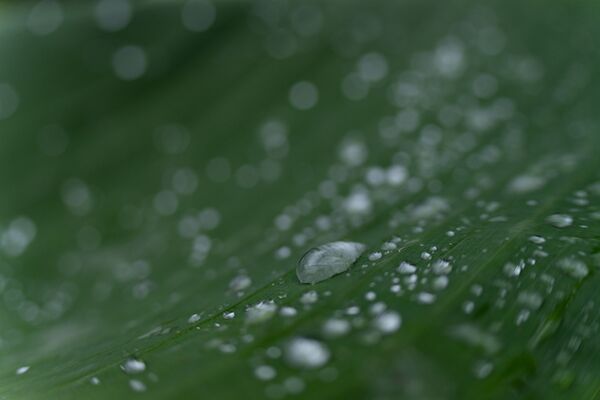 Tamron 50-300mm f/4.5-6.3 Di III VC VXD  Sony FE-Mount