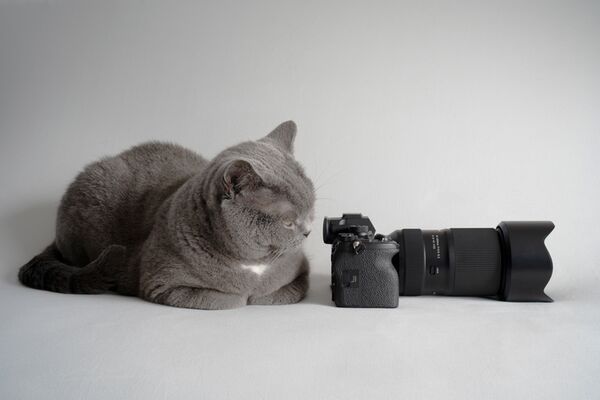 Tamron 50-300mm f/4.5-6.3 Di III VC VXD  Sony FE-Mount