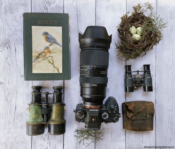 Tamron 50-400mm f/4.5-6.3 Di III VC VXD  Sony FE-Mount