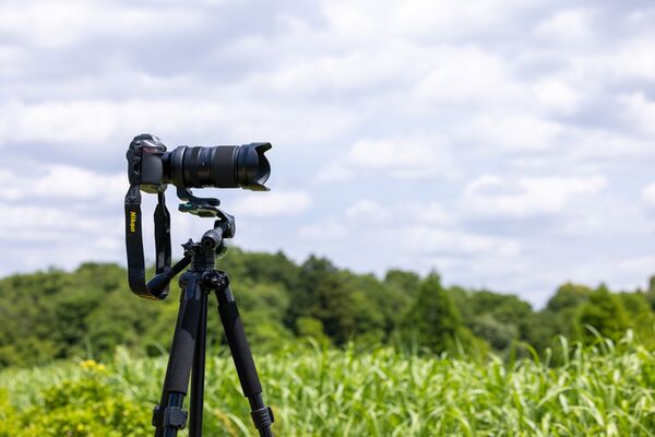 Tamron 50-400mm f/4.5-6.3 Di III VC VXD  Nikon Z