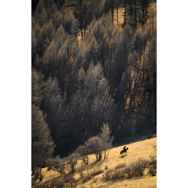 Tamron 70-180mm f/2.8 Di III VC VXD G2  Nikon Z mount