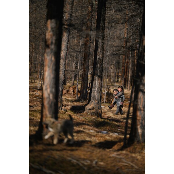 Tamron 70-180mm f/2.8 Di III VC VXD G2  Nikon Z mount