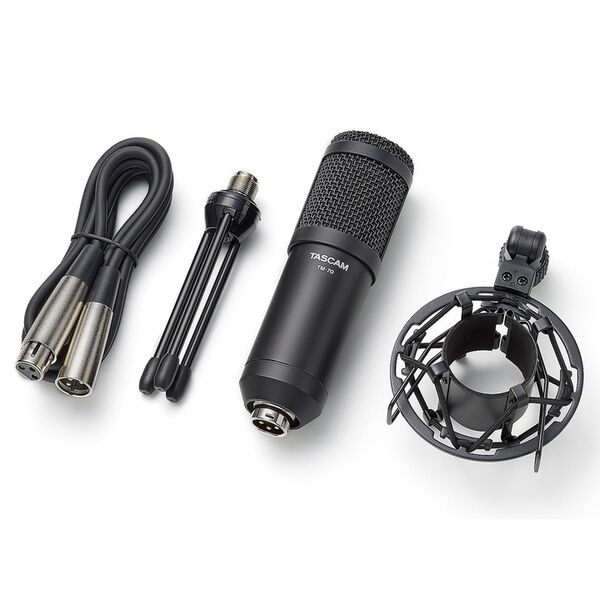 Tascam TM-70 Dynamisches Mikrofon für Podcasting 