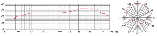 Tascam TM-70 Dynamisches Mikrofon für Podcasting 
