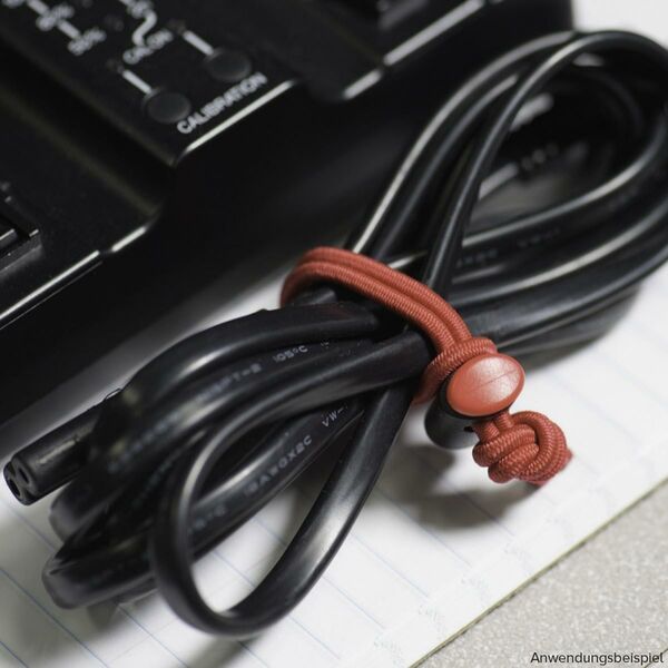 Think Tank Red Whips 