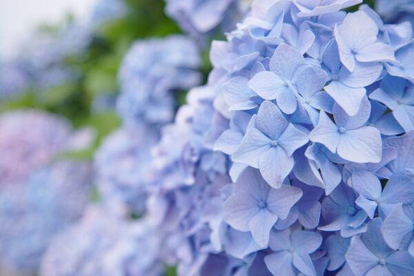 Tokina ATX-M 11-18mm f/2.8  Sony E-mount