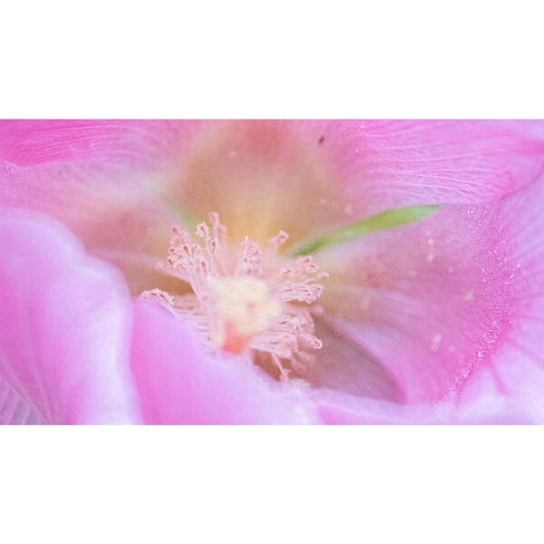 Tokina SZ 300mm PRO f/7.1 MF   Fujifilm X