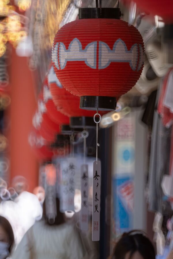 Tokina SZ 300mm PRO f/7.1 MF  Sony E-Mount