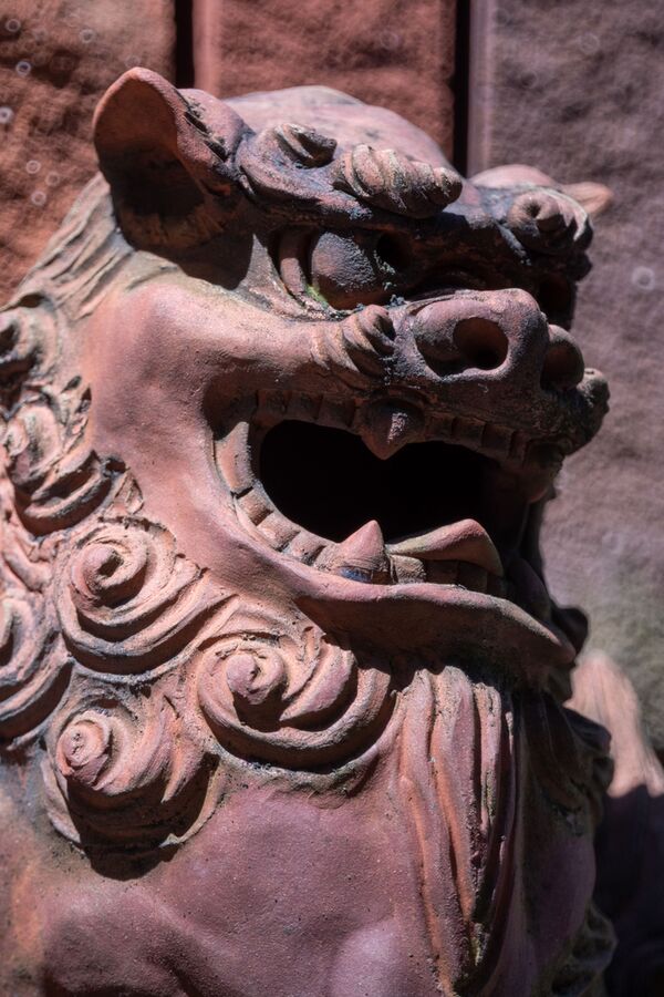 Tokina SZ 300mm PRO f/7.1 MF  Sony E-Mount