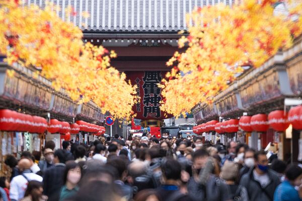 Tokina SZ 300mm PRO f/7.1 MF  Sony E-Mount