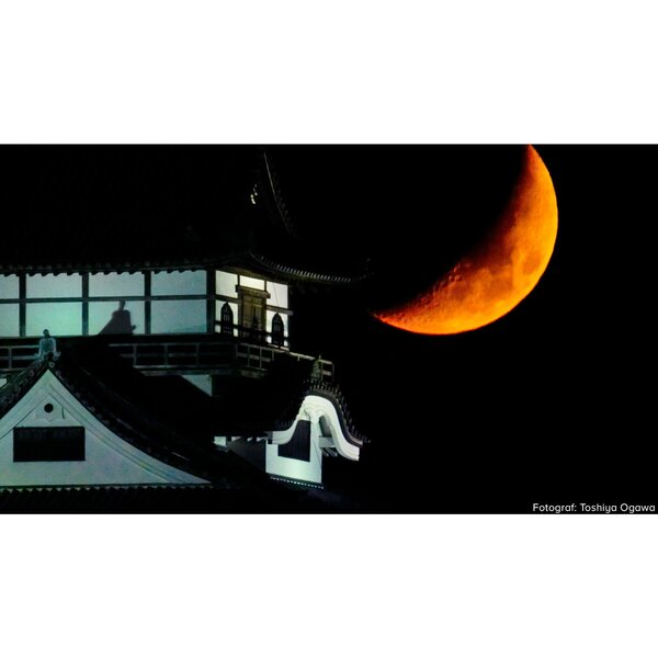 Tokina SZ 900mm PRO f/11 MF  Sony E-Mount