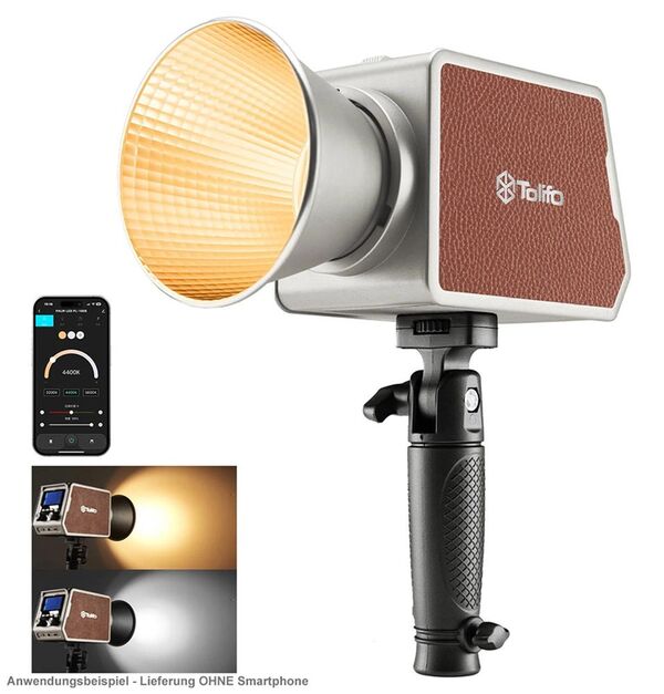 Tolifo PALM LED  PL-100B