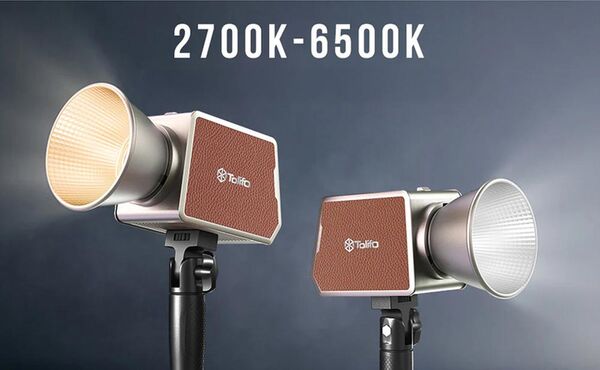 Tolifo PALM LED  PL-200B AC