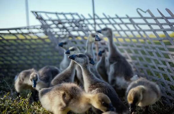 TTArtisan 23mm f/1,4 - Demoware  Fujifilm X