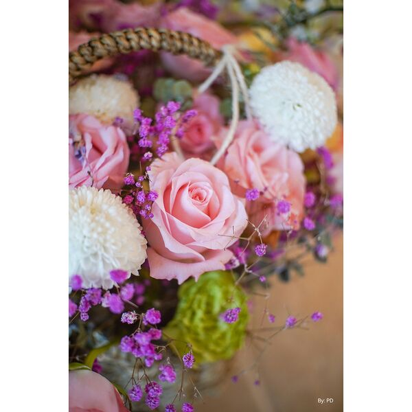 TTArtisan 25mm f/2  Fujifilm X