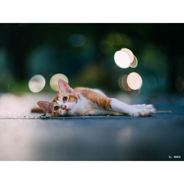 TTArtisan 75mm f/1.5  M42