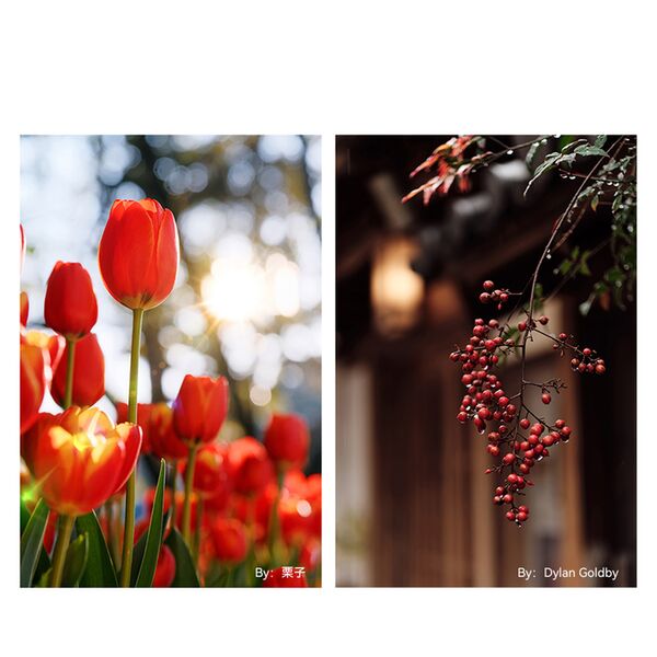 TTArtisan AF 56mm f/1,8  Fujifilm X silber