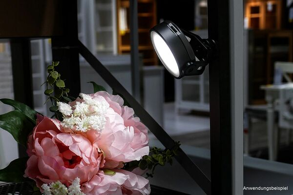 Sunwayfoto Video LED Leuchte FL-54 