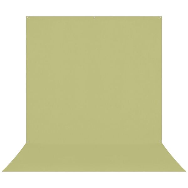Westcott X-Drop Pro knitterfreier Hintergrund  Mos Groen Sweep 2.4 x 4 m
