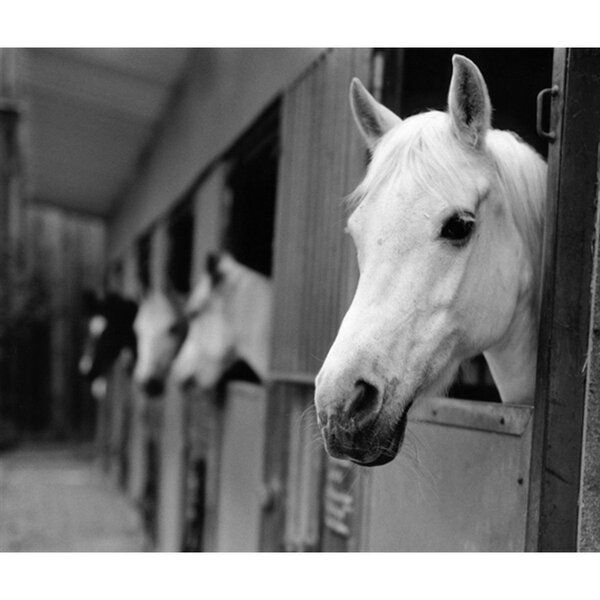 Zeiss C Sonnar T* 50mm f/1,5 ZM  Leica M silber