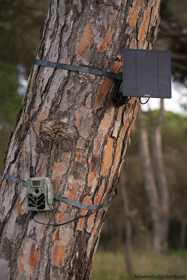 Zeiss Secacam Baumgurt (2 Stück) 