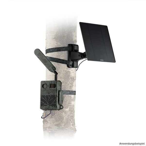 Zeiss Secacam Baumgurt (2 Stück) 