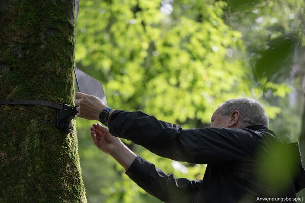 Zeiss Secacam Baumgurt (2 Stück) 