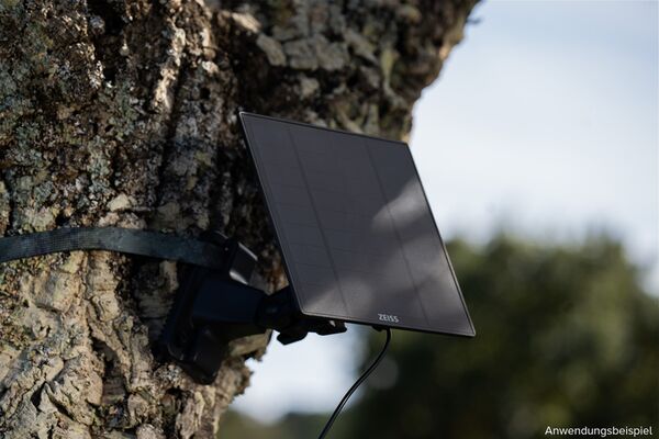 Zeiss Secacam Baumgurt (2 Stück) 