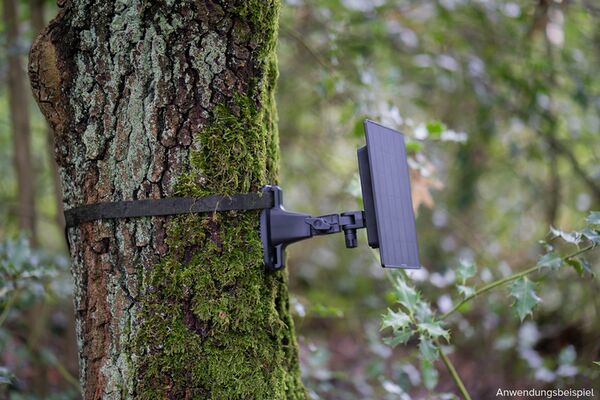 Zeiss Secacam Baumgurt (2 Stück) 