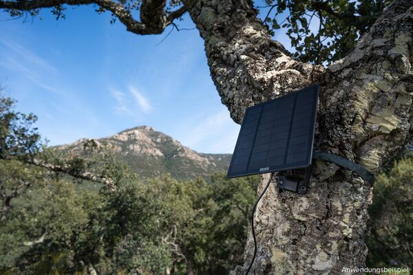 Zeiss Secacam Baumgurt (2 Stück) 