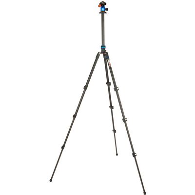 3 Legged Thing Punks Patti 2.0 & AirHed  Blau & Schwarz