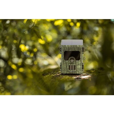 Camouflage Wildkamera EZ-Solar 