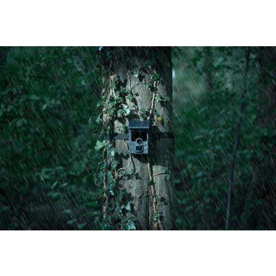 Camouflage Wildkamera EZ-Solar 