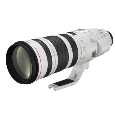 Canon EF 200-400mm f/4,0 L IS USM + Extender  Canon EF