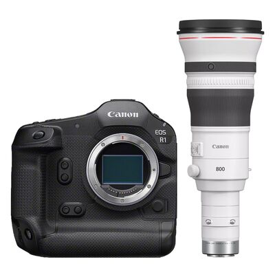 Canon EOS R1 + RF 800mm f/5,6 L IS USM 