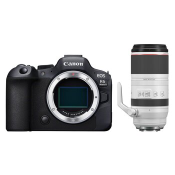 Canon EOS R6 Mark II + RF 100-500mm f/4.5-7.1 L IS USM 