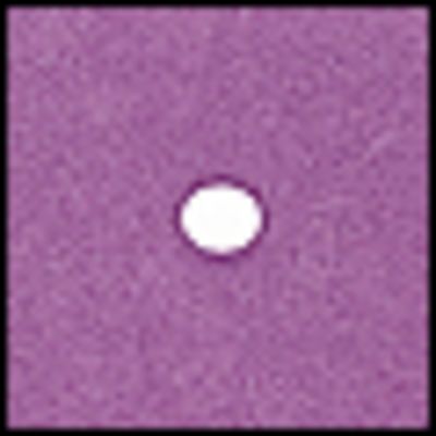 Cokin 064 Spot violett  A 