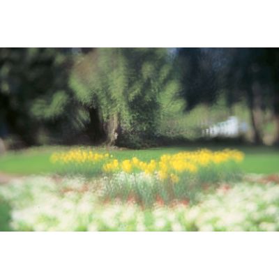 Cokin 093 Traum 3  P 