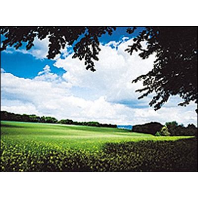 Cokin 121L Verlauf grau 2 ND2  P 